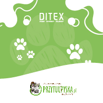 Ditex wspiera schronisko „Przytul Pyska”